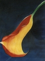 Bild Blüte2
